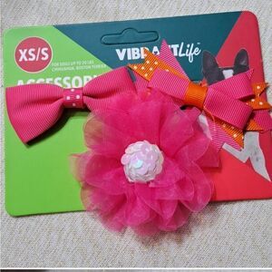 NWT Vibrant Life Accessories Dog/cat accessories